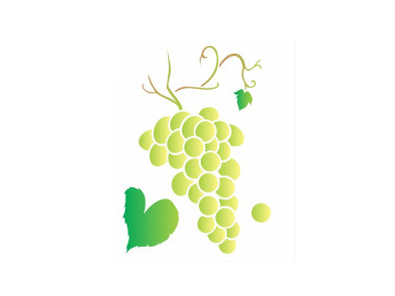 STENCIL FRUTAS UVA 20X25...
