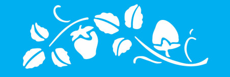 STENCIL FRUTAS MORANGOS 10X30CM ST0310