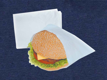 SACO SANDUICHE 15X20X03 C/100