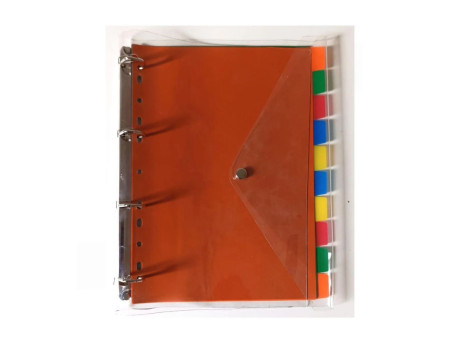 FICHARIO EXEC.4 ARG.C/BOLSA C/BOTAO BIC.