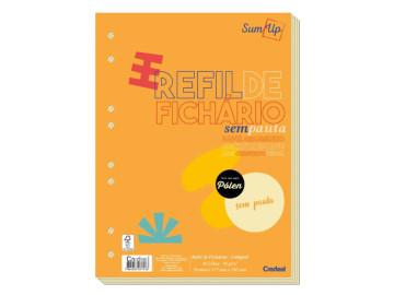 CADERNO FICHARIO  40F.POLEN...