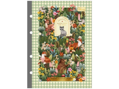 CADERNO FICHARIO  80F.LOVELAND COLEGIAL