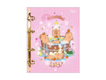 FICHARIO ARGOLADO...