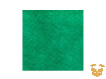 TNT VERDE 46CMX2MTS C/10