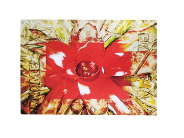 PAPEL ARTE FRANCESA 21X31 - FL