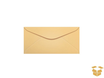 ENVELOPE 114X162 SALMAO...