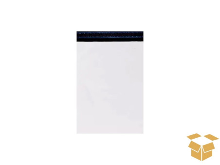 ENVELOPE CORREIO 10X15+3CM PLASTICO C/10