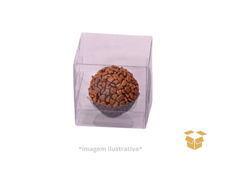 CX.05X05X05 TRANSPARENTE C/BERCO C/10