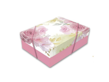 CX.24X18X08 ROSAS...