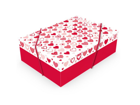 CX.25X35X11 CORACOES C/ELASTICO-AV