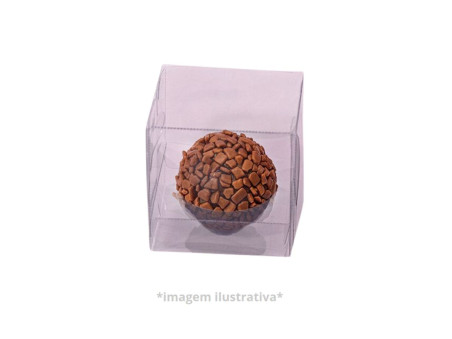 CX.05X05X05 TRANSPARENTE C/BERCO-AV